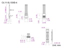 Solid lock strip to wire 10mm, RGB 4pin , IP20 - Image 2
