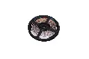 840led-10mm-1.webp
