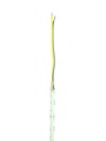 CSP LED strip 10mm CCT 15W/m IP20 - Image 2