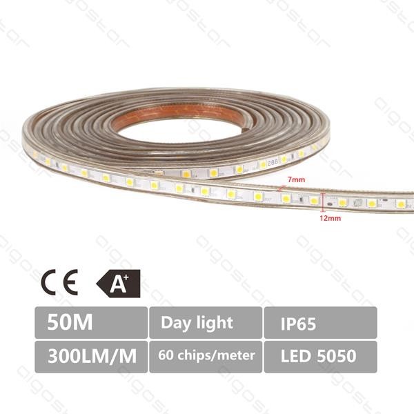 LED Strip 5050, 6500K - Image 2