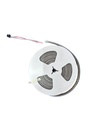 Led strip addressable RGBW IC COB IP67 - Image 2