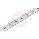 LEDstrip RGBCW 5050 5m 300led 12mm 19,2W - Image 2