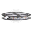 Ledlist ledstrip RGBWW 5050 12mm 19,2W
