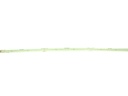 CSP LED-nauha 8mm 3000K 10W/m IP20