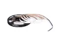 RGBW COB LED strip 24V 12mm running meter